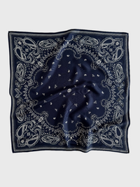LESCARF PAISLEY SCARF 65CM