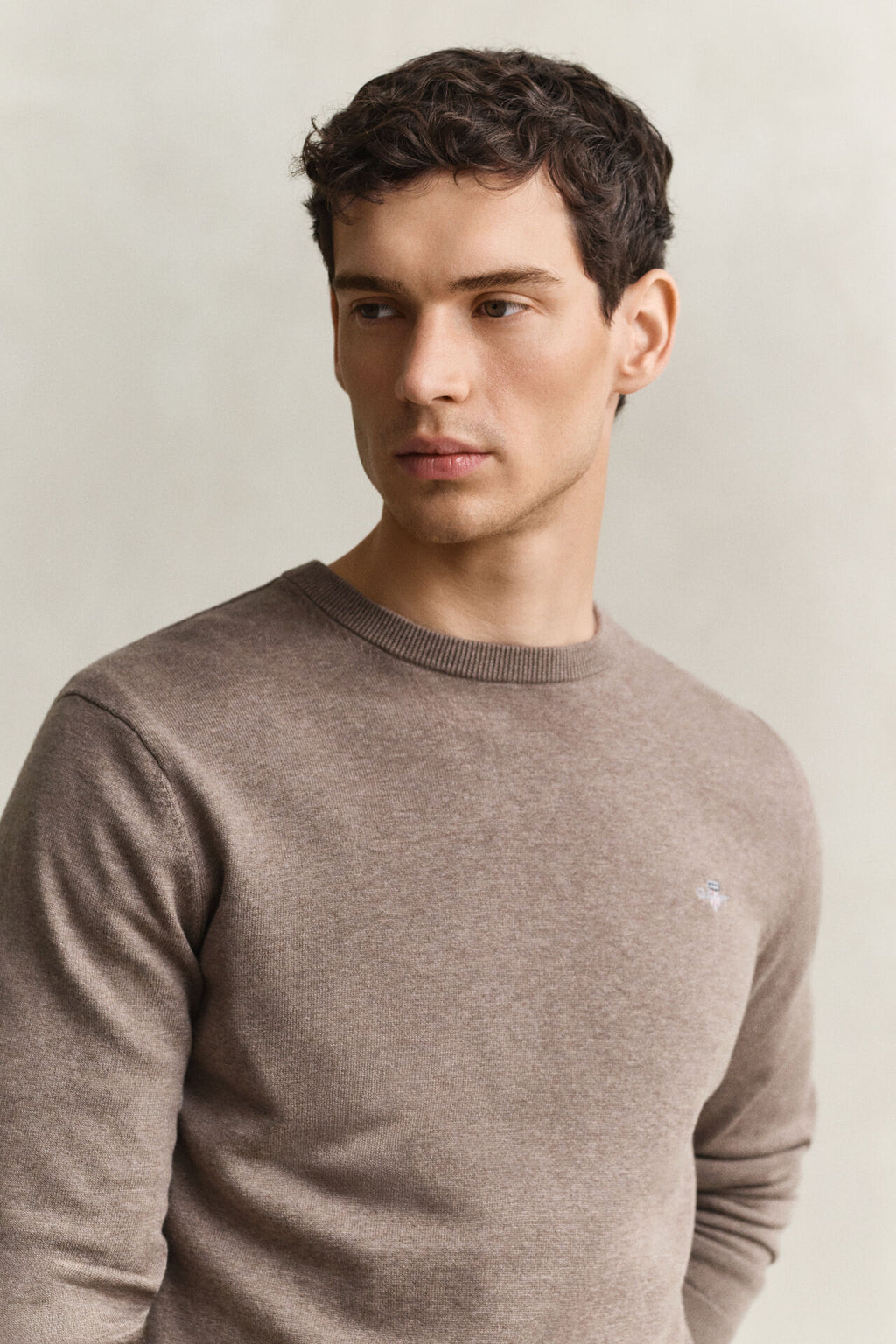 GANT COTTON C-NECK